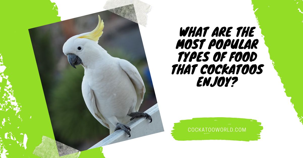 What Are The Most Popular Types Of Food That Cockatoos Enjoy?